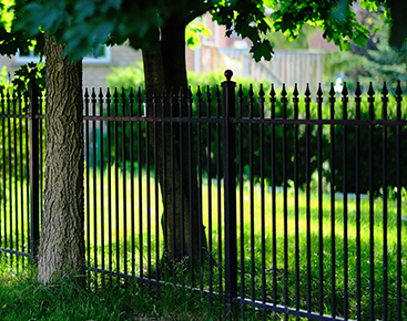 A black fence with trees in the background